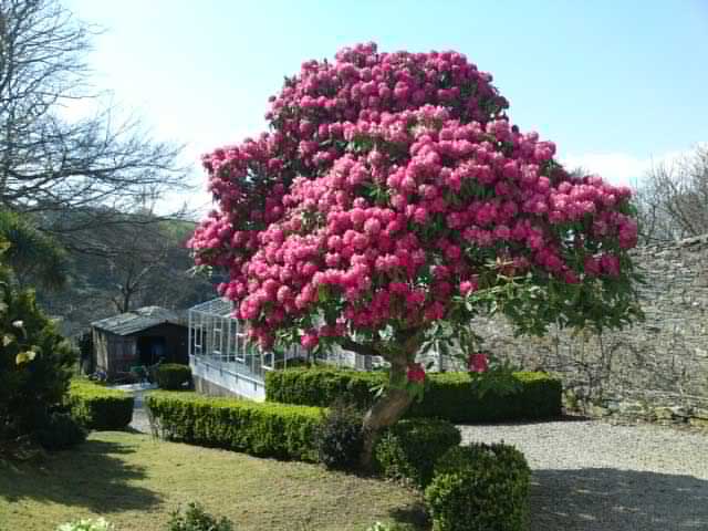 Penhellis Nursing Home