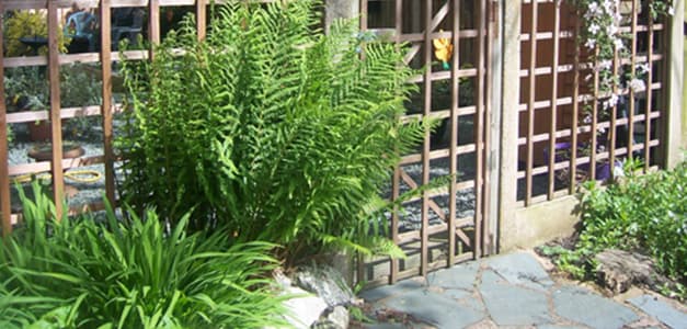 Alder Grange
