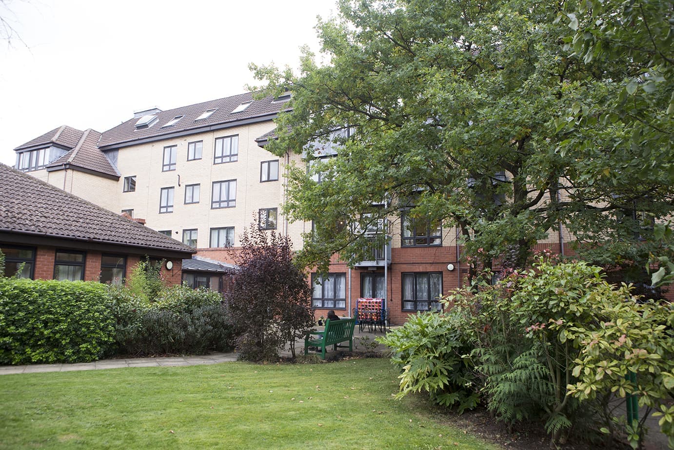 Davids House
