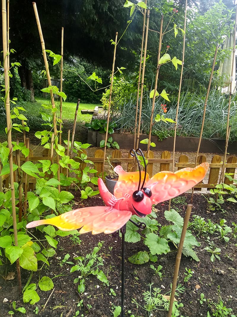 Cherry Garden: photo 15