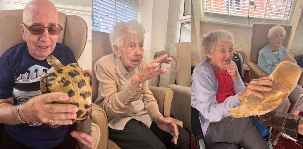Halton View Care Home