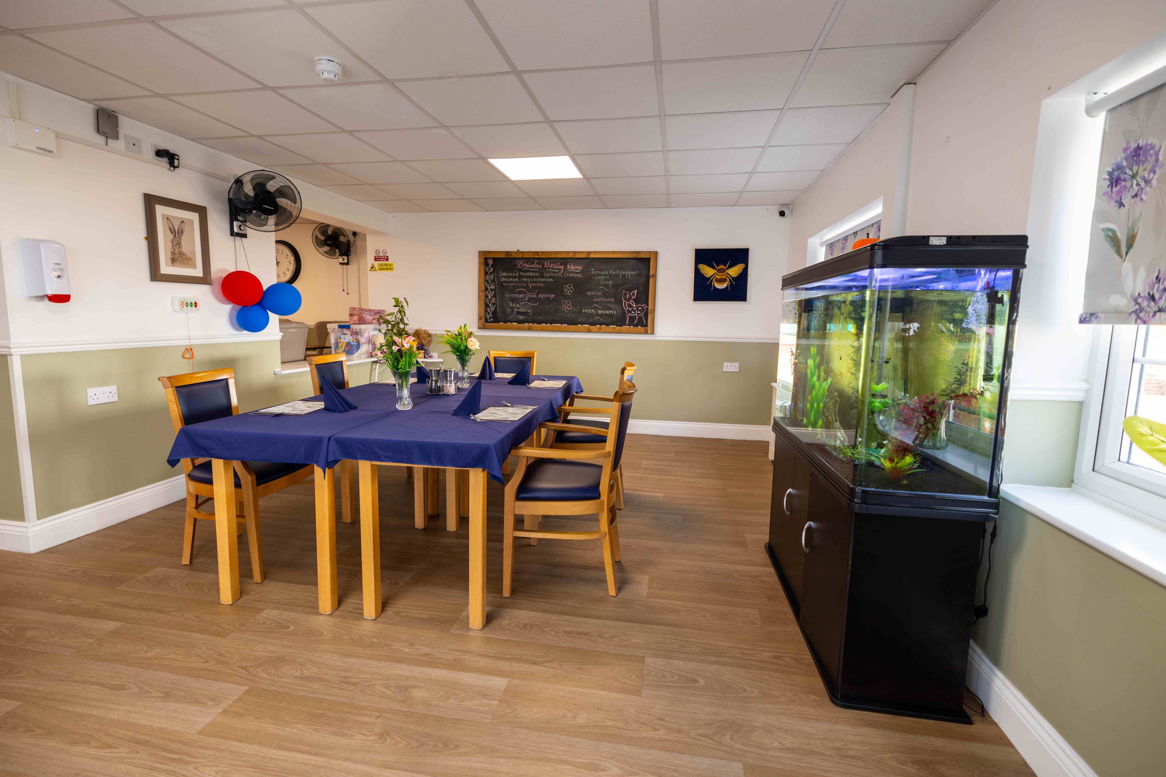 Braintree Nursing Home