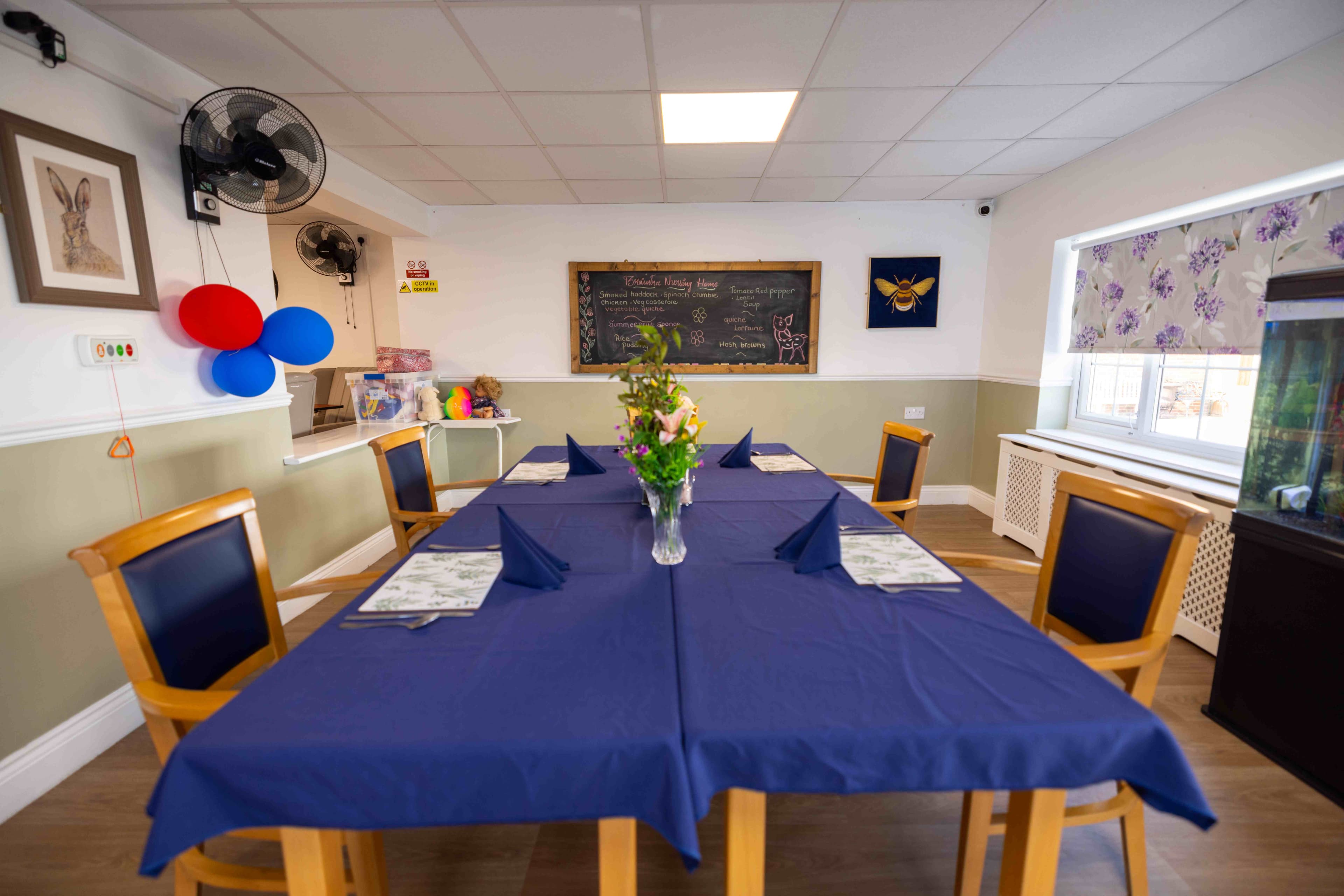 Braintree Nursing Home
