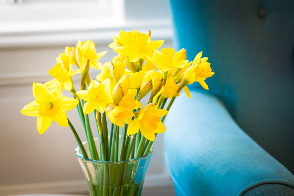 Magnolia House Care Home