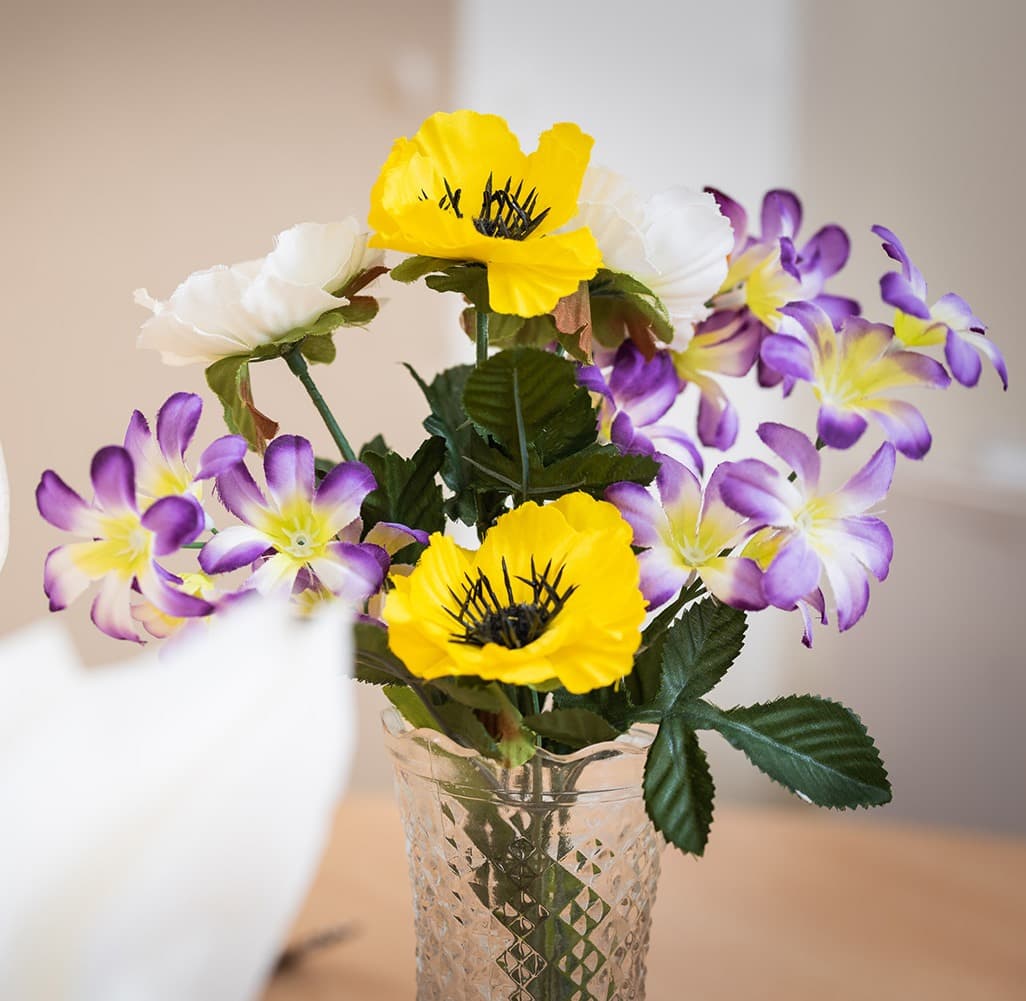 Magnolia House Care Home