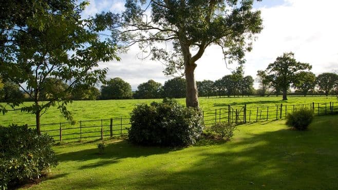 Lawn Park Care Home