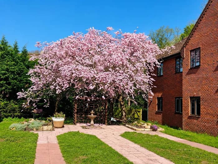 Abbey Wood Court