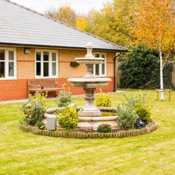 Birch Tree Manor