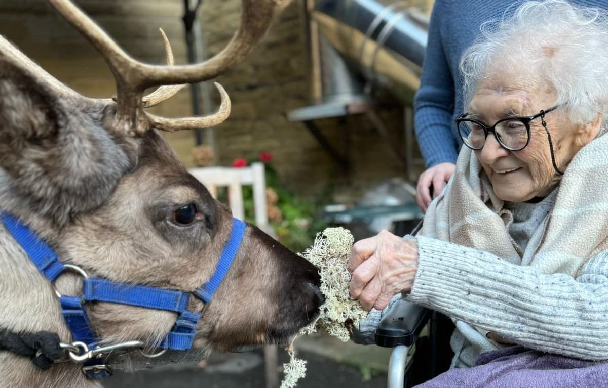 Thornhill Nursing Home