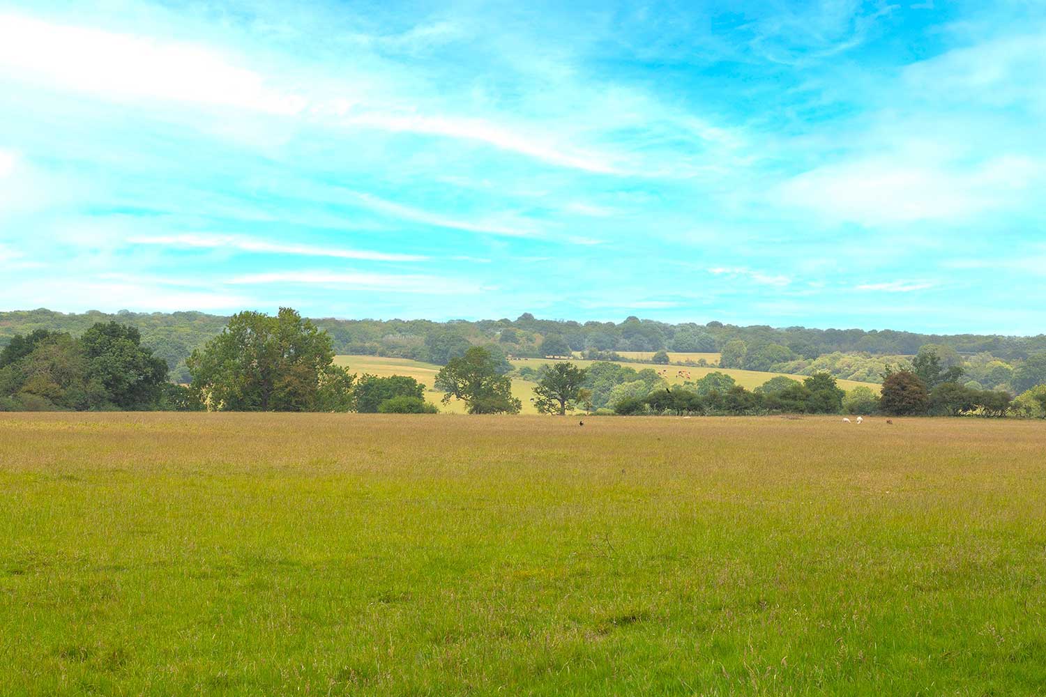 Aveley Lodge