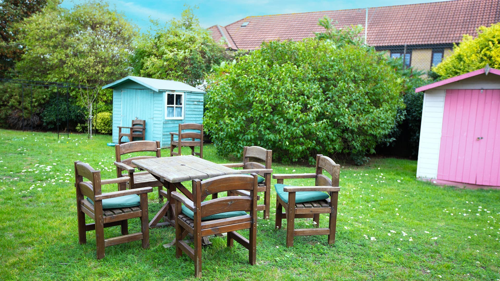 Cherry Orchard: photo 7