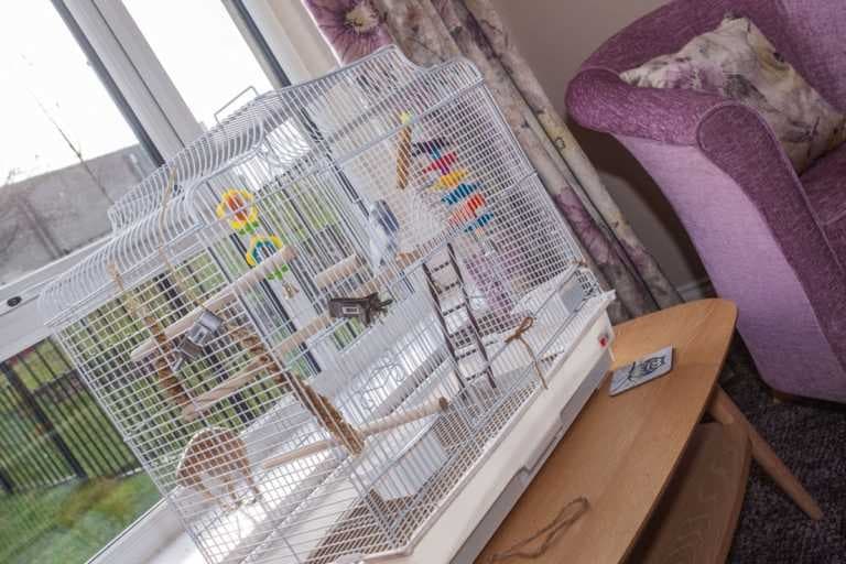 Birch Park Care Home