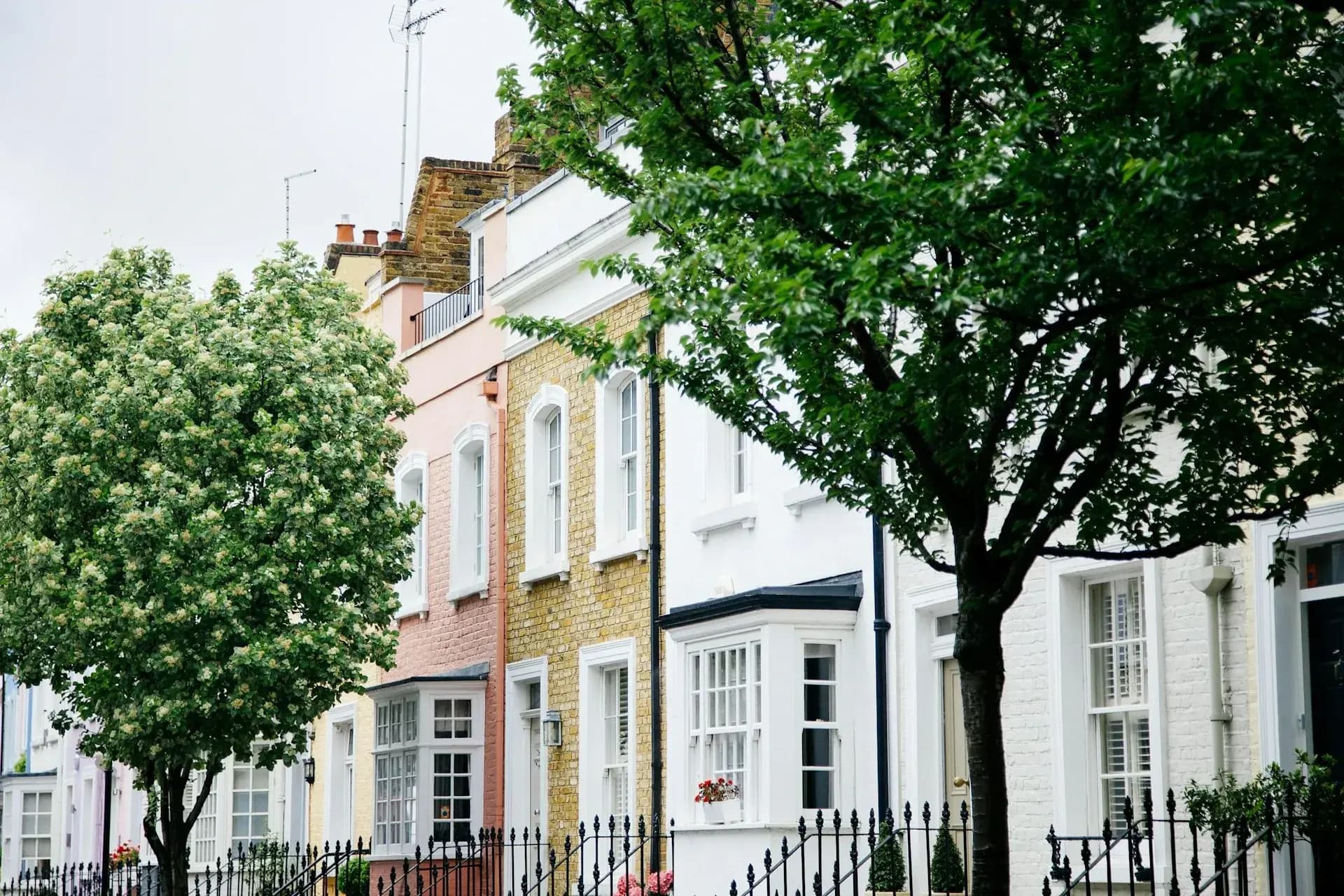 St Johns Wood