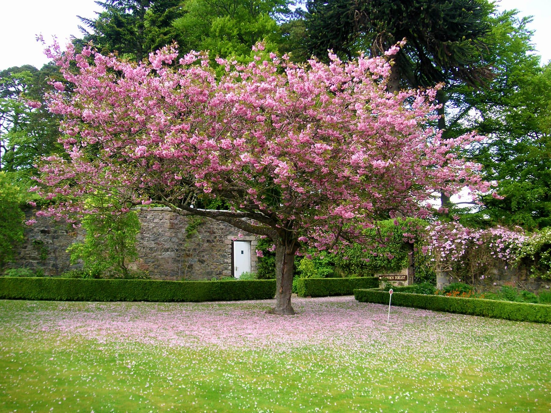 Inchmarlo House: photo 9