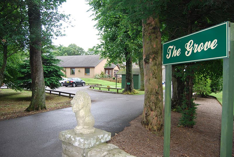 The Grove: photo 2