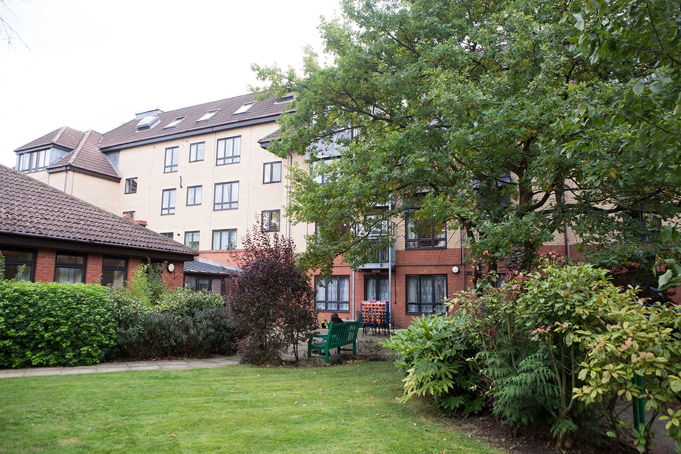 The Meadow: photo 1