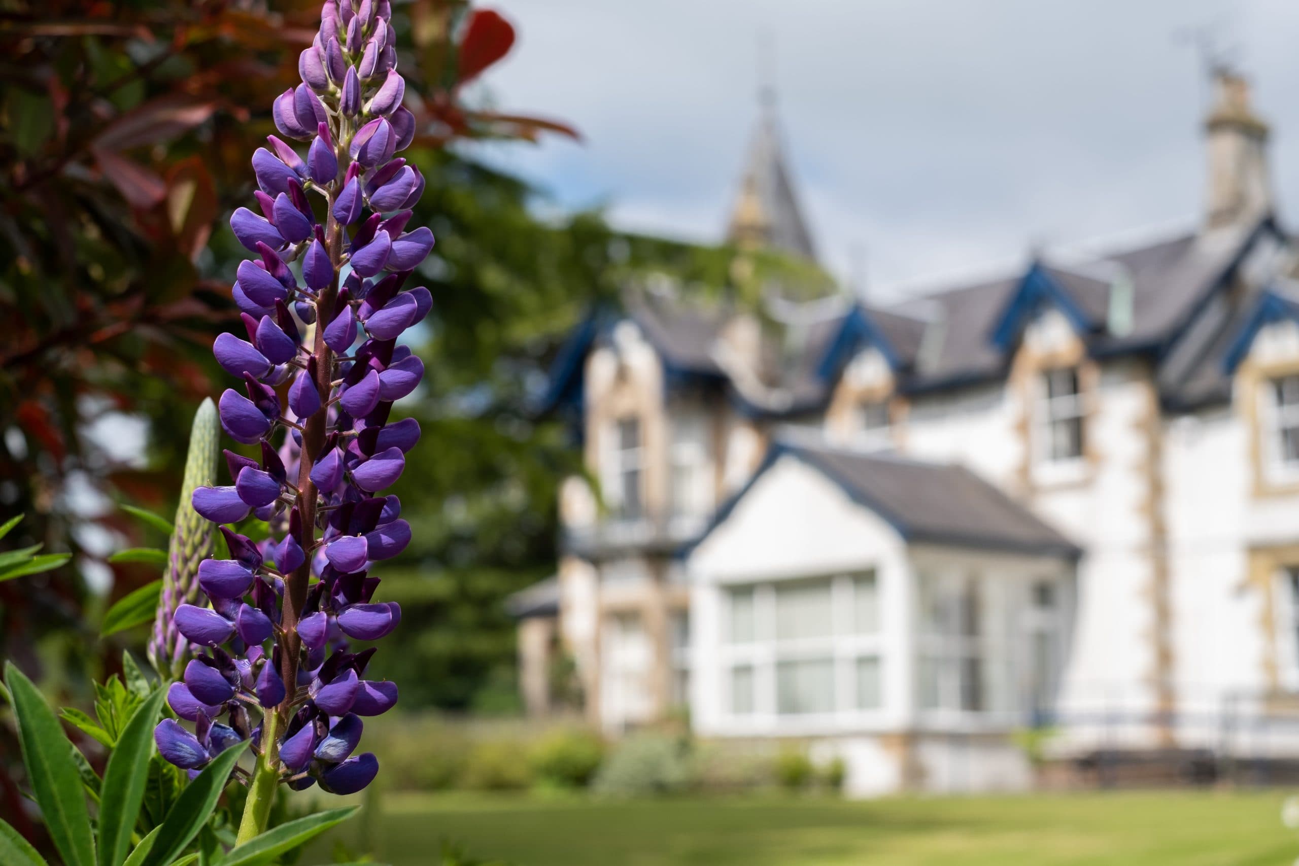 Care homes in Perth & Kinross