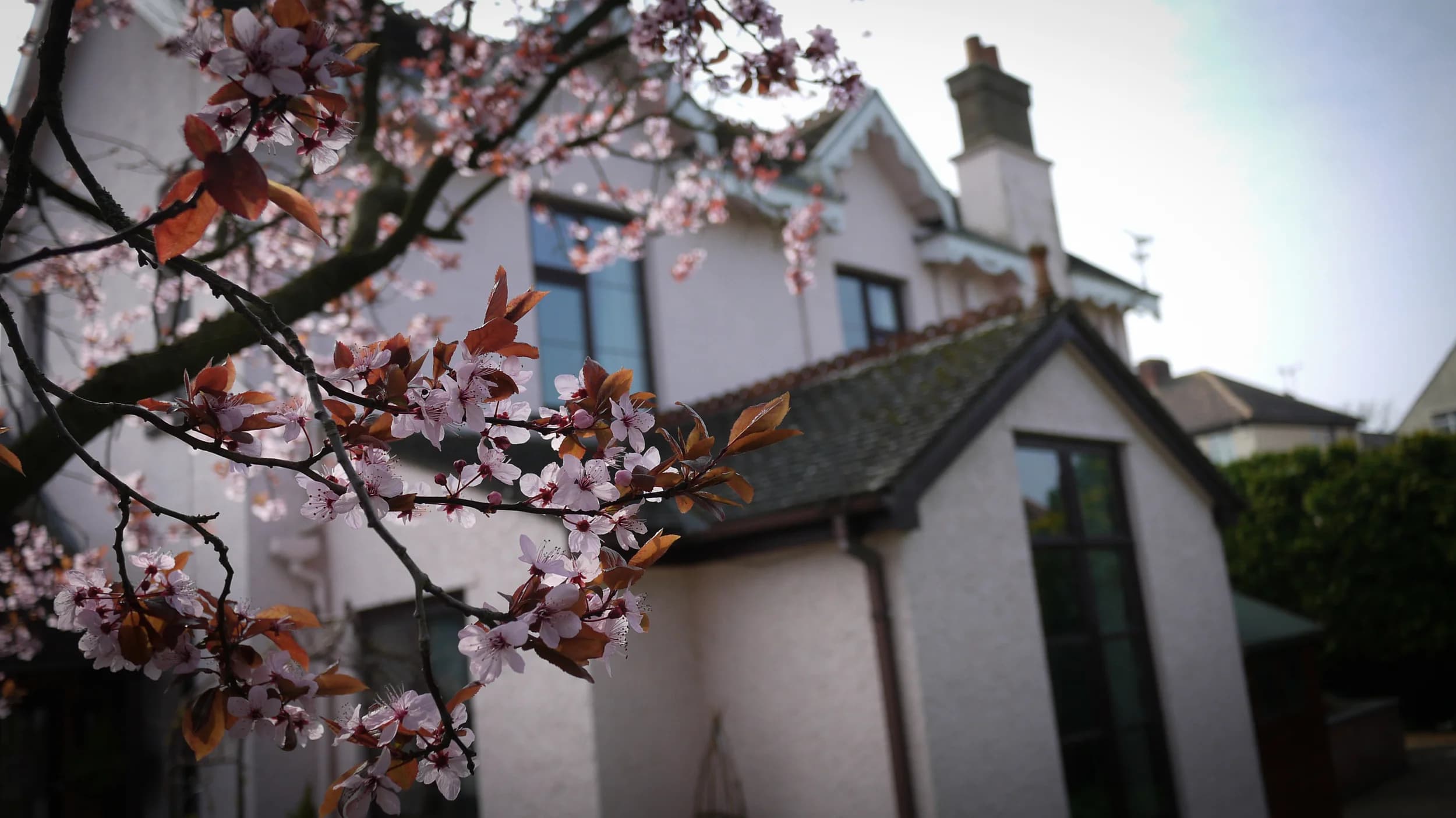 St Georges Care Home