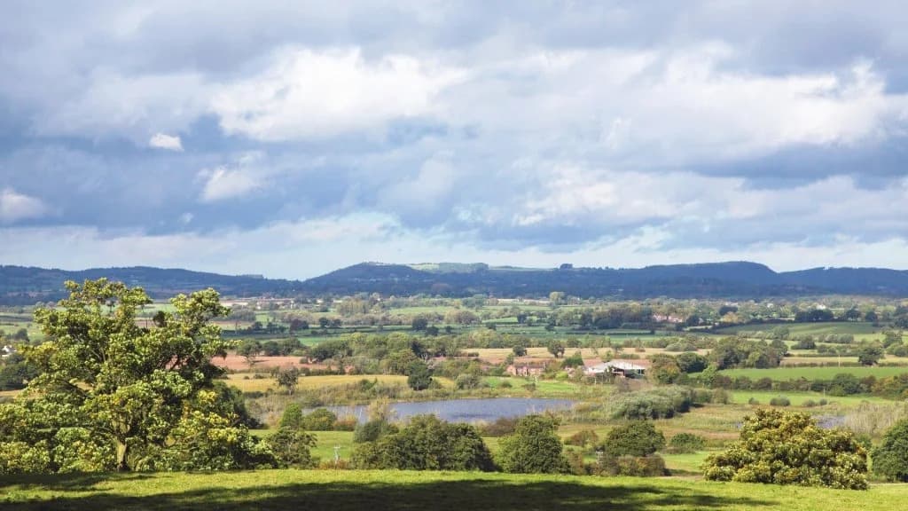 Ford Lodge