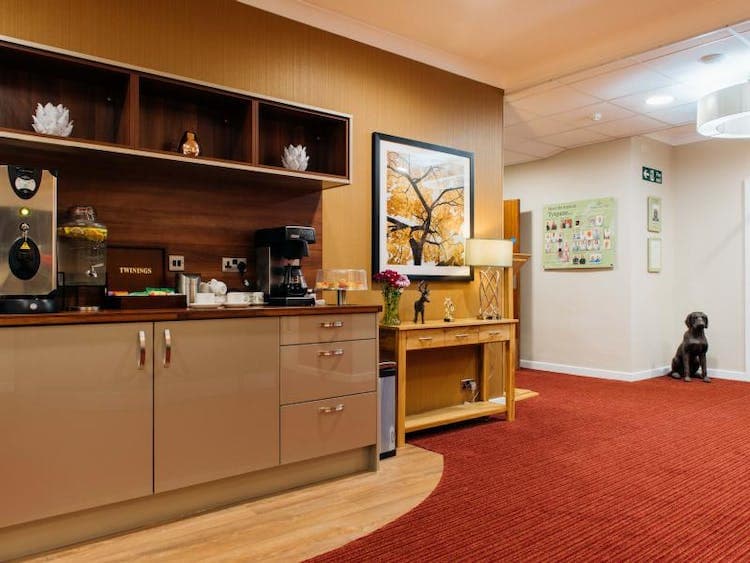 Tyspane Care Home