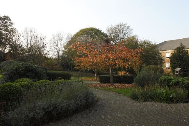 Elizabeth Lodge Care Home