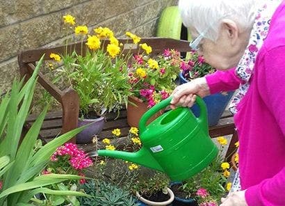 Somerset House Care Home