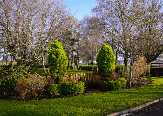 Mull Hall Care Home