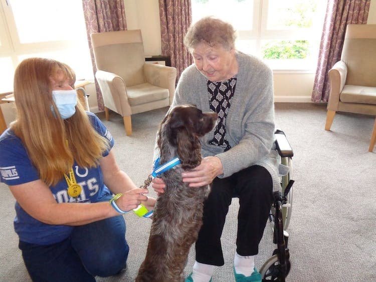Burnside Care Home