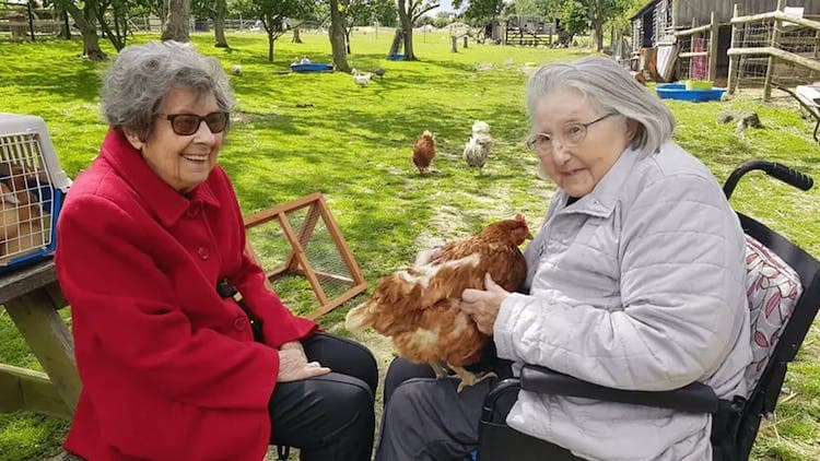 Elvy Court Care Home