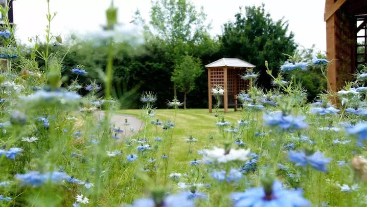 Belmont View Care Home