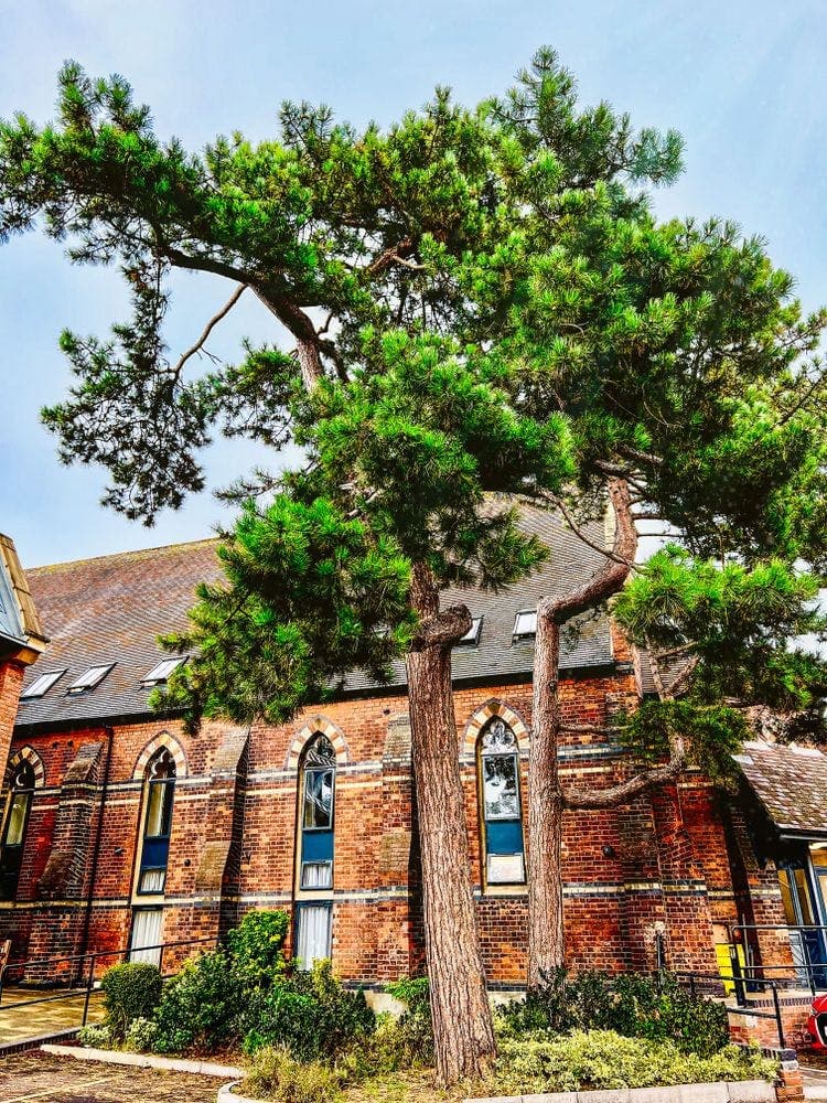 Chapel House Care Home
