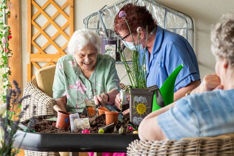 Cedar Mews Care Home