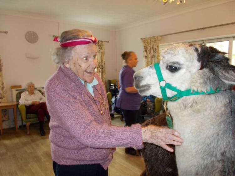 Downs House Care Home