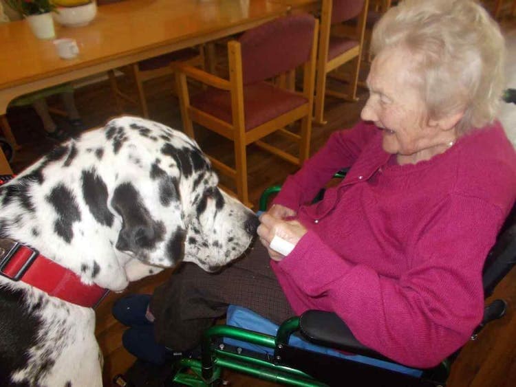 Elm House Care Home