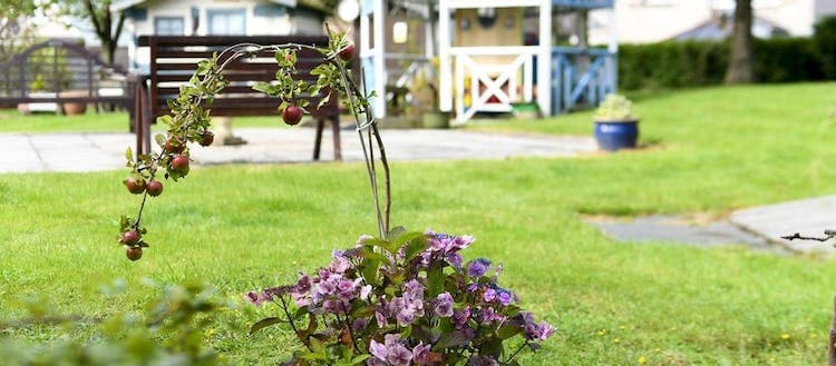 Lunardi Court Care Home