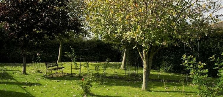 Northlea Court Care Home
