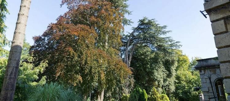 Warmley House Care Home