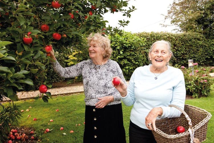 Oldbury Grange Care Home