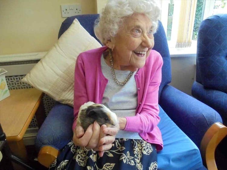 New Milton House Care Home
