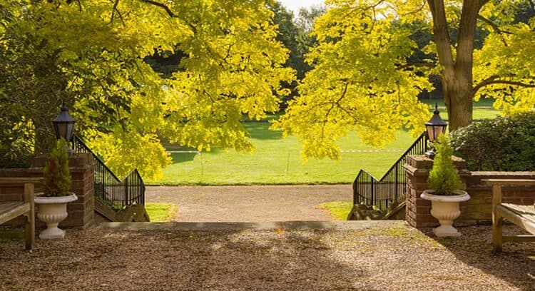 Frognal House Care Home