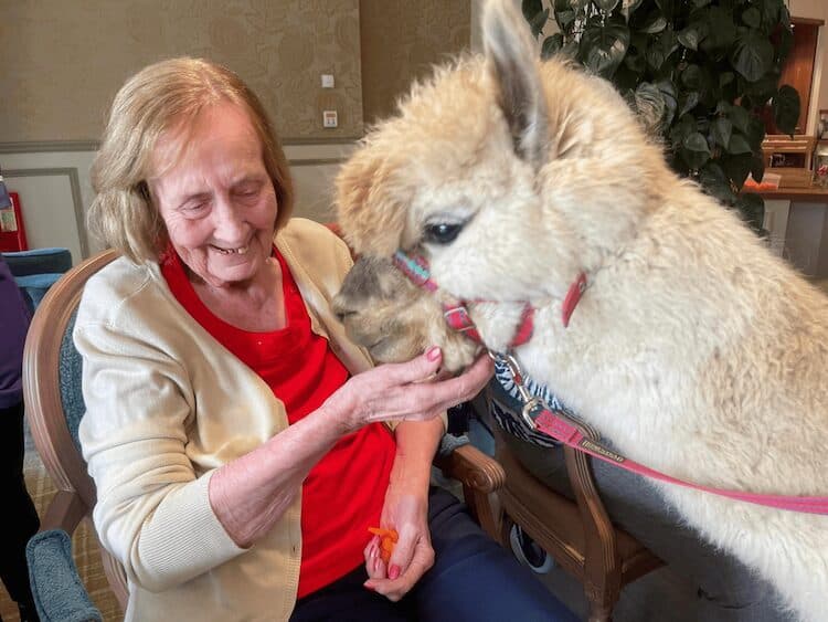 Buckler's Lodge Care Home