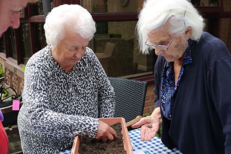 The Grove Care Home