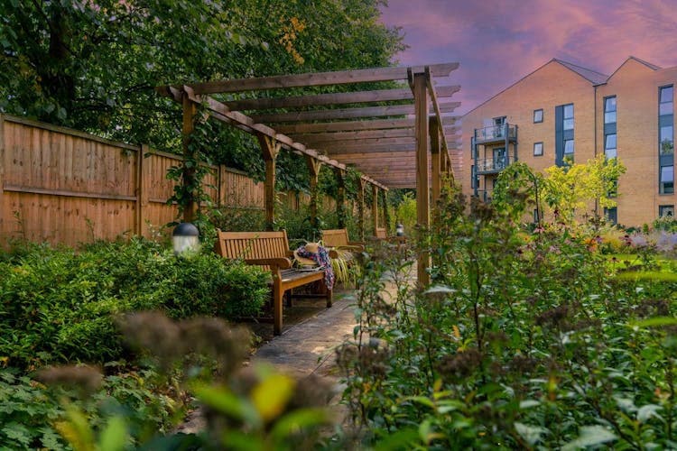 Violet Place