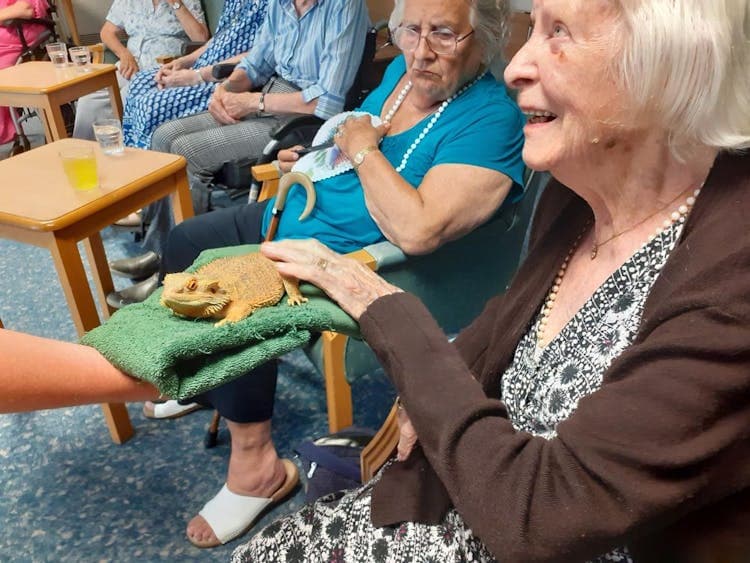Birtley House Care Home