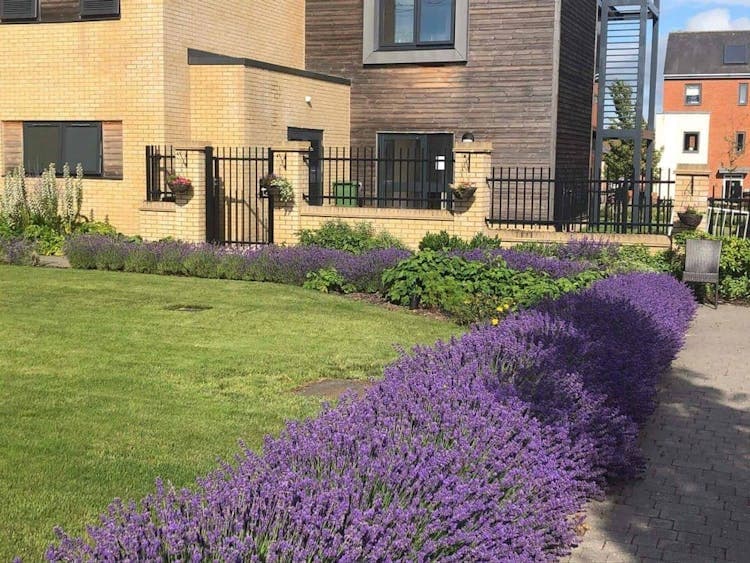 Wellington Vale Care Home