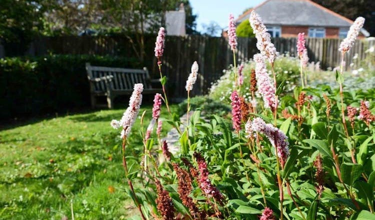 Maiden Castle House Care Home