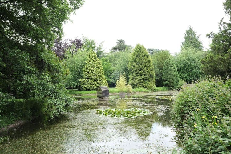 Town Thorns Care Home